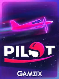 Pilot crash at 1111JL COM